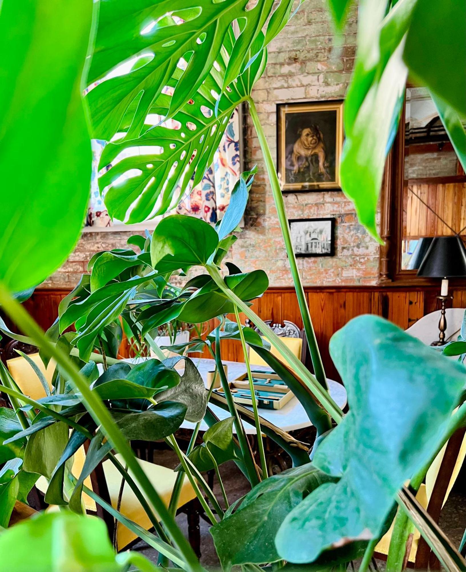 Inn At The Old Jail 新奥尔良 外观 照片